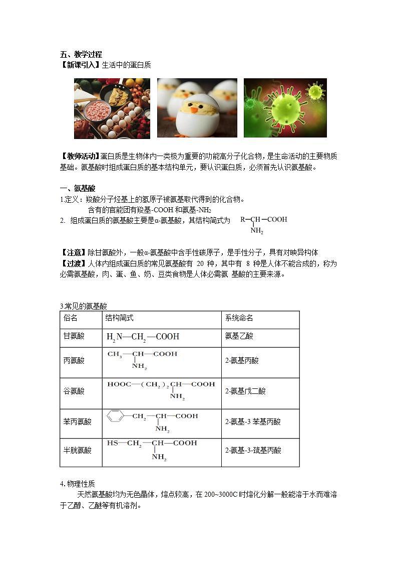 4.2 蛋白质课件+教案02