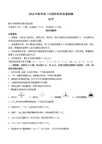 湖北省黄冈市2022-2023学年高三上学期期中质量抽测化学试题（含答案）