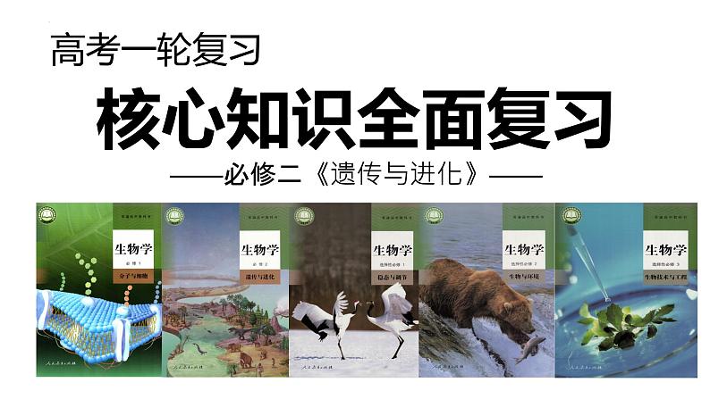 【备战2023高考】生物考点全复习——第26讲《DNA分子的结构及基因的概念》复习课件(新教材新高考)01