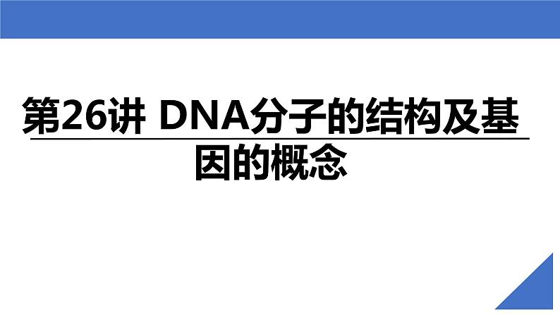 【备战2023高考】生物考点全复习——第26讲《DNA分子的结构及基因的概念》复习课件(新教材新高考)02