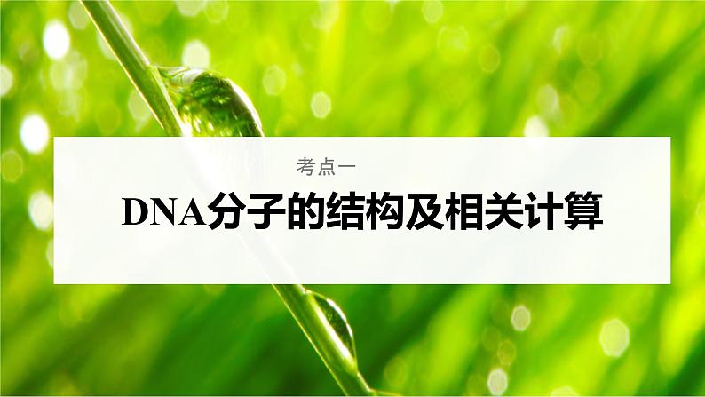 【备战2023高考】生物考点全复习——第26讲《DNA分子的结构及基因的概念》复习课件(新教材新高考)05