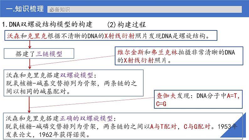 【备战2023高考】生物考点全复习——第26讲《DNA分子的结构及基因的概念》复习课件(新教材新高考)07