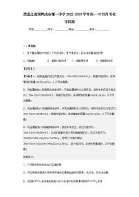 2022-2023学年黑龙江省双鸭山市第一中学高一10月月考化学试题含解析