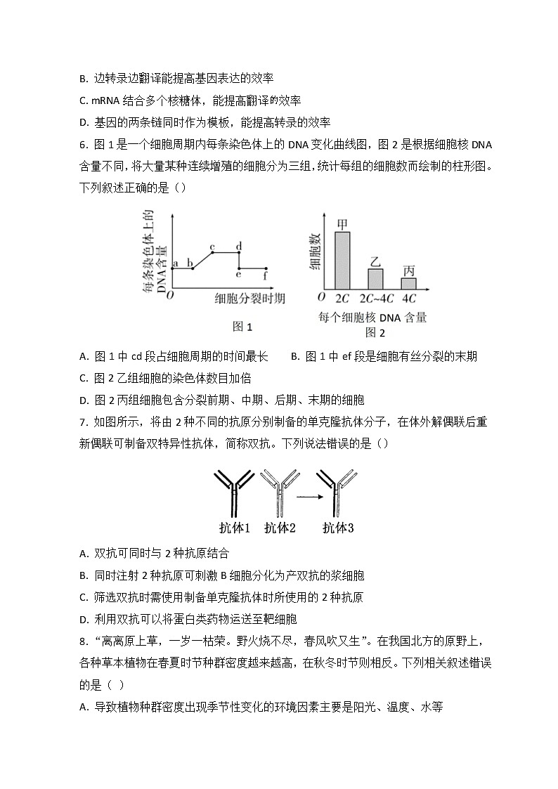福建省泉州四校（晉江二中、鵬峰中學(xué)、廣海中學(xué)、泉港五中）2022-2023學(xué)年高三上學(xué)期10月期中聯(lián)考試題  生物  Word版含答案第2頁(yè)