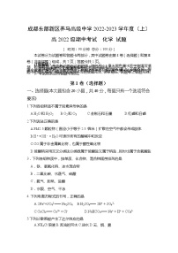 四川省成都市东部新区养马高级中学2022-2023学年高一上学期期中考试化学试题