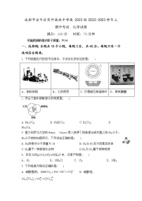 四川省成都市金牛区实外高级中学2022-2023学年高一上学期期中考试化学试题