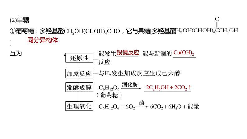 (新高考)高考化学大一轮复习课件第9章第61讲生命中的基础有机化学物质合成有机高分子(含解析)第6页