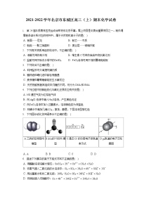 2021-2022学年北京市东城区高三（上）期末化学试卷（ 含答案解析）