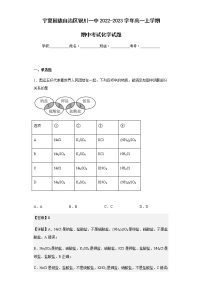 2022-2023学年宁夏回族自治区银川一中高一上学期期中考试化学试题含解析