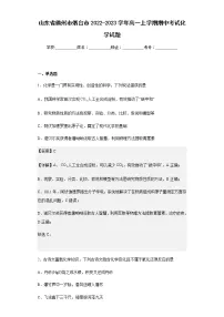 2022-2023学年山东省德州市烟台市高一上学期期中考试化学试题含解析