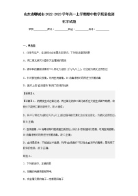 2022-2023学年山东省聊城市高一上学期期中教学质量检测化学试题含解析