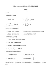 上海市2022-2023学年高二上学期期末测试卷化学试卷（Word版含答案）