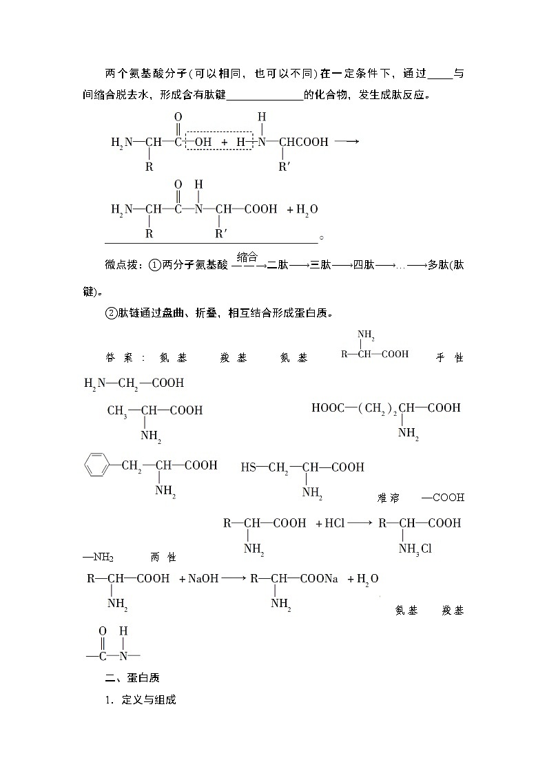 4.2 蛋白质——2022-2023学年高二化学人教版(2019)选择性必修3导学案02