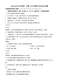 2022-2023学年河北省石家庄外国语学校高一上学期期中考试化学试题（解析版）