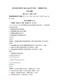 四川省泸州市泸县第四中学2022-2023学年高一化学上学期期末考试试题（Word版附解析）