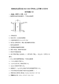 湖南省株洲市天元区名校2023届高三化学上学期12月月考（A）试卷（Word版附答案）