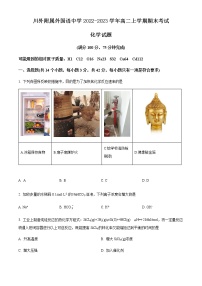 重庆市川外附属外国语中学2022-2023学年高二上学期期末考试化学试题（Word版含答案）