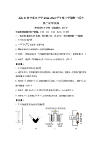 2022-2023学年湖北省武汉市部分重点中学高二上学期期中联考化学试题 Word版