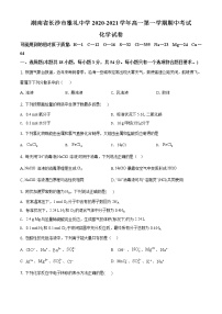 精品解析：湖南省长沙市雅礼中学2020-2021学年高一上学期期中考试化学试题