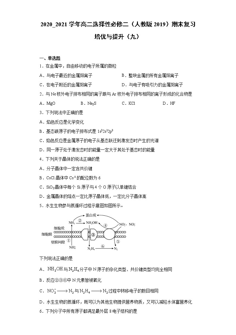 期末复习培优与提升(九)2020-2021学年高二化学人教版(2019)选择性必修2 试卷01