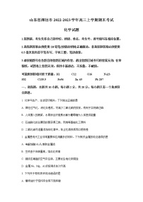 山东省潍坊市2022-2023学年高三上学期期末考试化学试题（解析版）