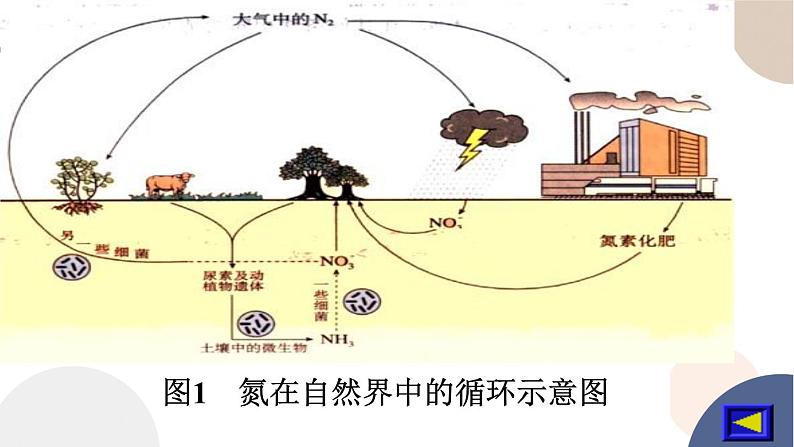 配套新教材-高中化学-RJ-必修第二册-第五章 第二节 第1课时 氮气与氮的固定 一氧化氮和二氧化氮课件PPT第3页