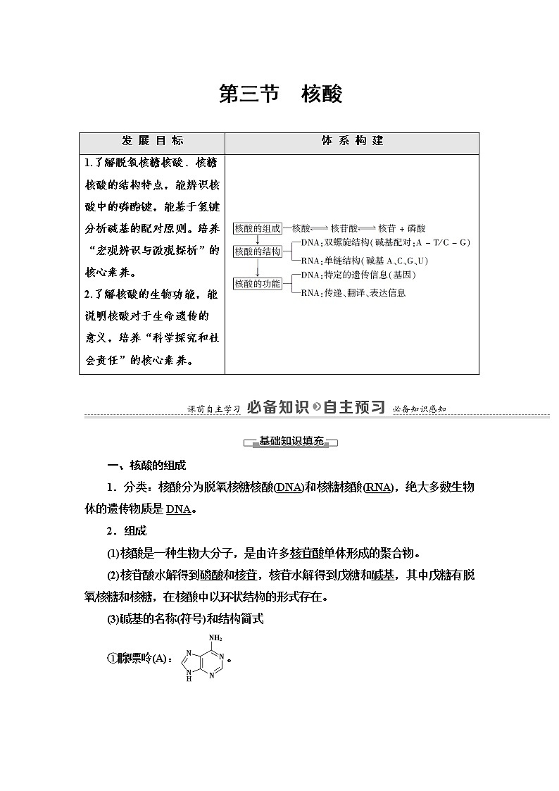 第4章 第3节 核酸 讲义【新教材】人教版(2019)高中化学选择性必修3第1页