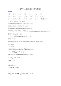 2023年高考第一次模拟考试卷：化学（上海B卷）（参考答案）