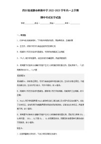 2022-2023学年四川省成都市树德中学高一上学期期中考试化学试题含解析