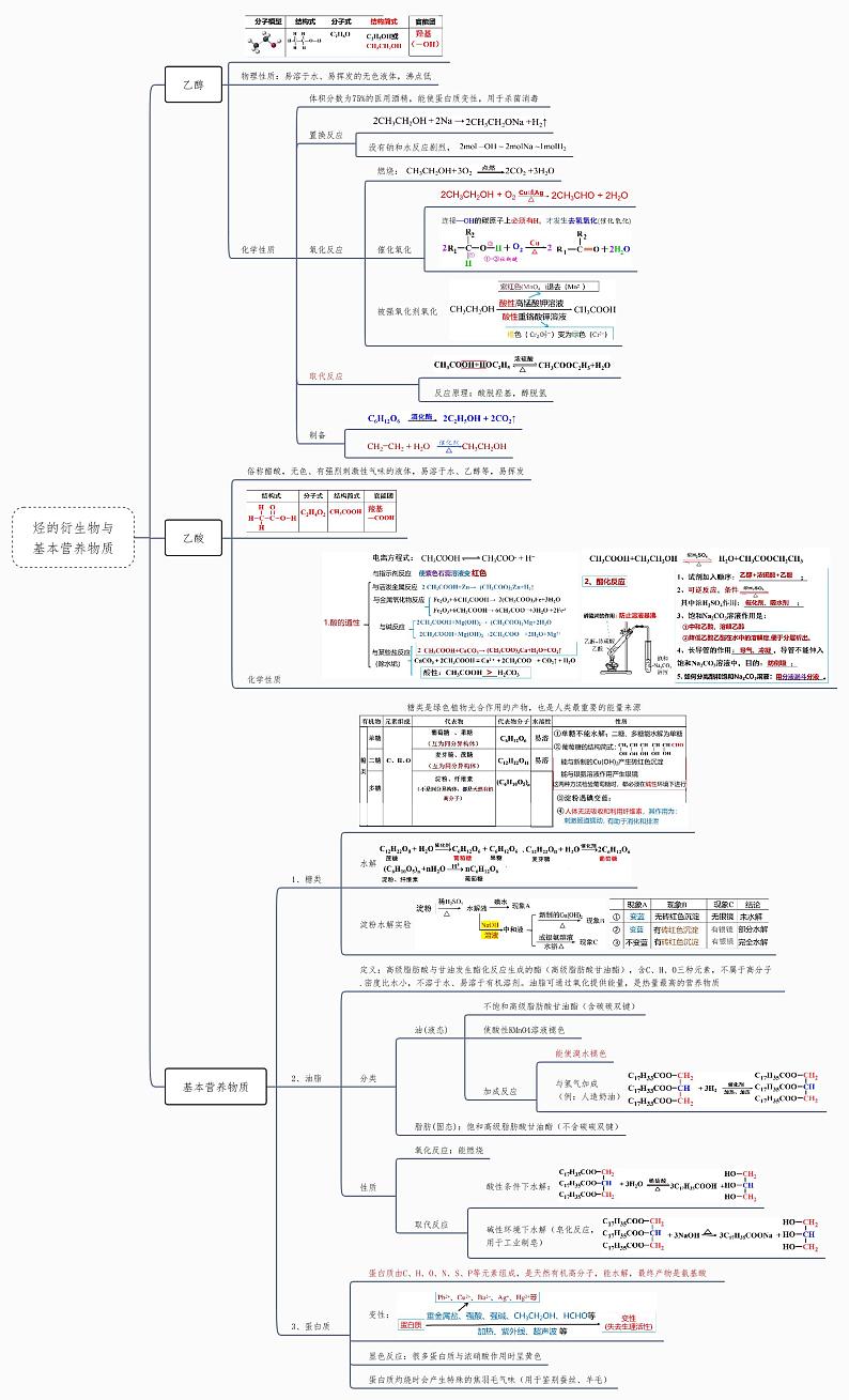 烃的衍生物与基本营养物质-2023年高中化学复习思维导图(新教材专用)第1页