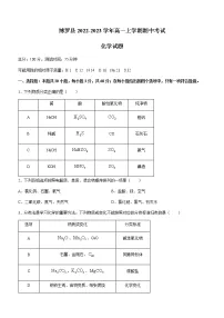 广东省惠州市博罗县2022-2023学年高一上学期期中考试化学试题（Word版含答案）