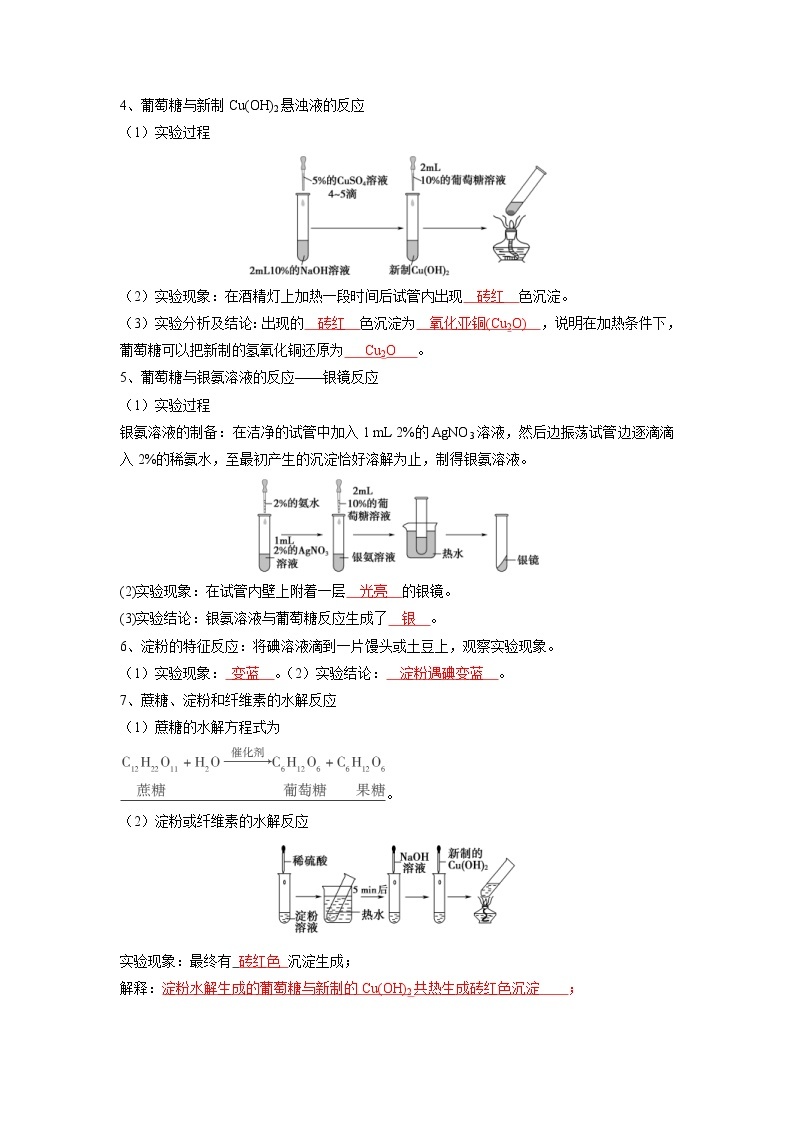 (寒假班)人教版高中化学必修第二册同步讲义第七章有机化合物第四节  基本营养物质（含详解）02