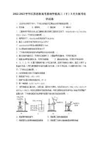 2022-2023学年江苏省新高考基地学校高三（下）3月大联考化学试卷（含解析）