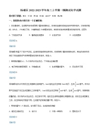 2022-2023学年上海市杨浦区高三上学期一模化学试题含解析