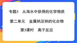 高中化学苏教版必修一  3.2.3 离子反应  课件