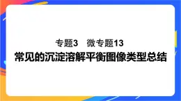 专题3第四单元 沉淀溶解平衡 微专题13　常见的沉淀溶解平衡图像类型总结课件PPT