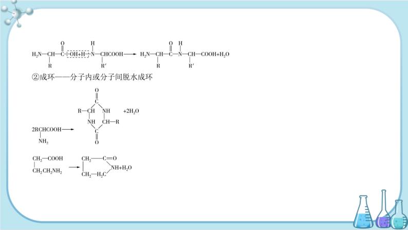 鲁科版高中化学选择性必修第三册·第2章 第4节 第3课时 氨基酸和蛋白质（课件PPT）06