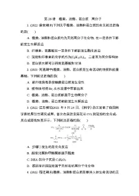 2024年江苏高考化学一轮复习 第28讲 糖类、油脂、蛋白质 高分子 课时练(含解析)