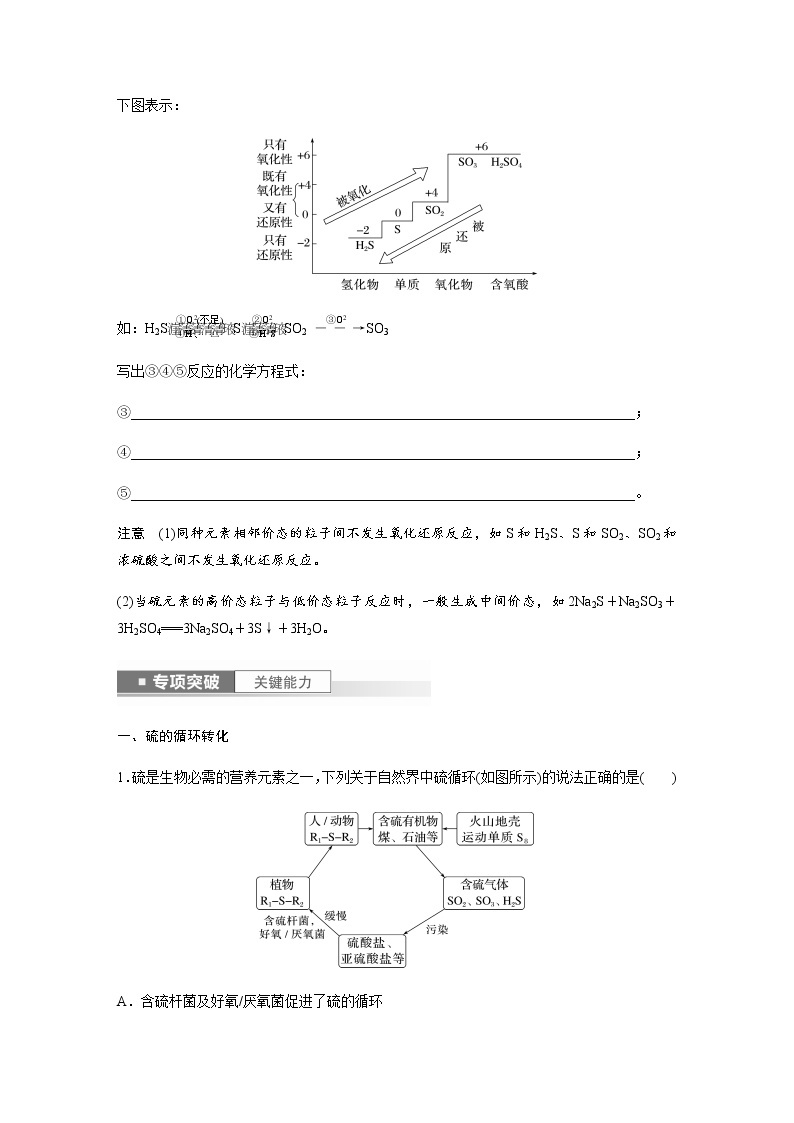 2024年高考化学一轮复习　第23讲　硫及其化合物的相互转化 学案（含答案）02