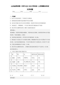 2022-2023学年山东省菏泽第一中学高一上学期期末考试化学试题（解析版）