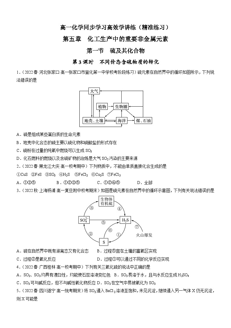 5.1.3 不同价态含硫物质的转化(精准练习)-高一化学同步学习高效学讲练(人教版必修第二册)(原卷版)第1页