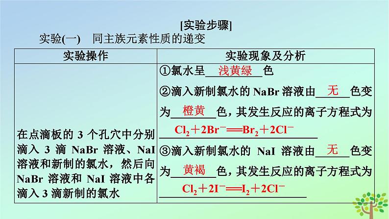 新教材2023年高中化学第4章物质结构元素周期律经典实验同周期同主族元素性质的递变课件新人教版必修第一册04