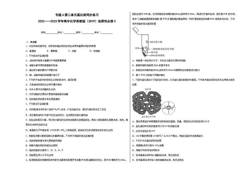 专题6第二单元蛋白质同步练习第1页