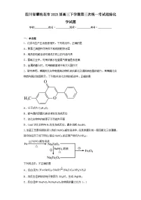 四川省攀枝花市2023届高三下学期第三次统一考试理综化学试题（含答案）