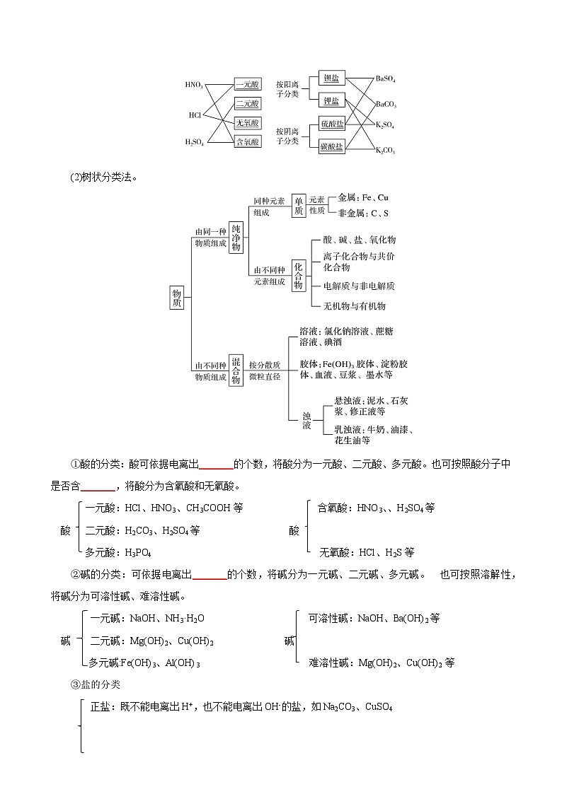 考点01  物质的分类及转化(学生版)第2页