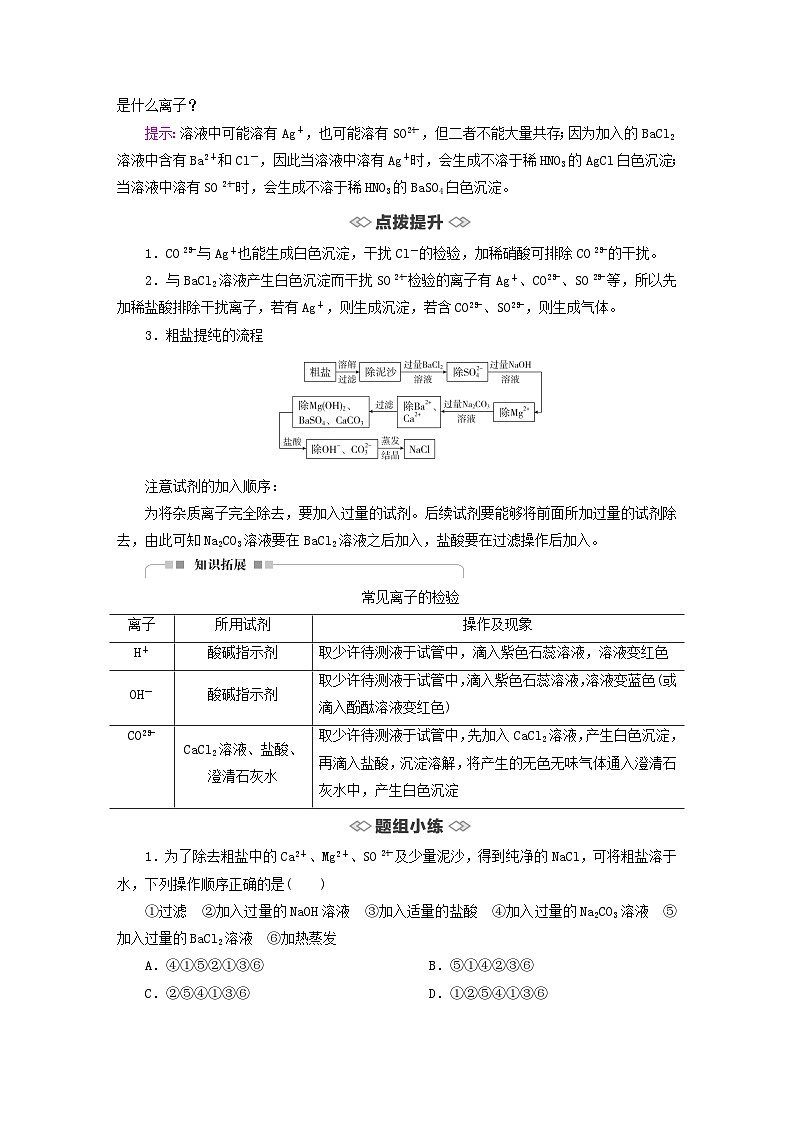新教材2023年高中化学第2章元素与物质世界第2节电解质的电离离子反应第3课时离子反应的应用导学案鲁科版必修第一册03