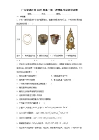 广东省湛江市2023届高三第一次模拟考试化学试卷（含解析）