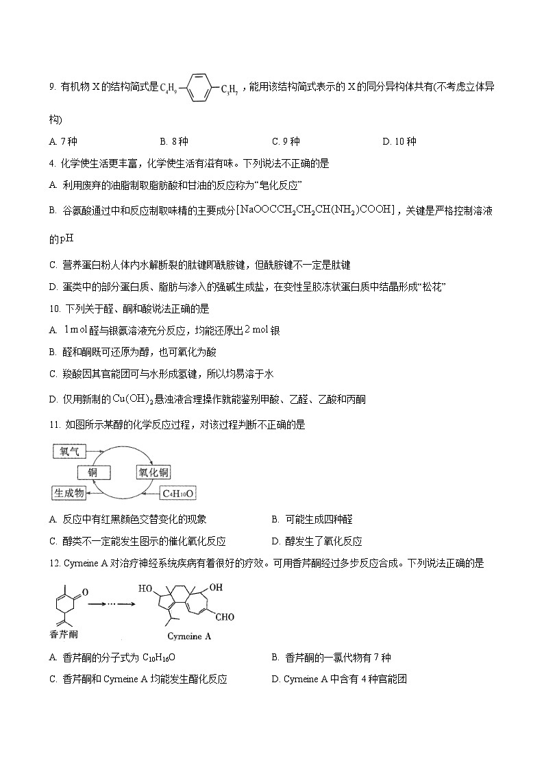 期末模拟试卷04——高二化学下学期期末复习考点精练学案(人教版2019选择性必修3) (原卷版)第3页