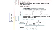 高中化学人教版 (2019)选择性必修3第三节 芳香烃教案