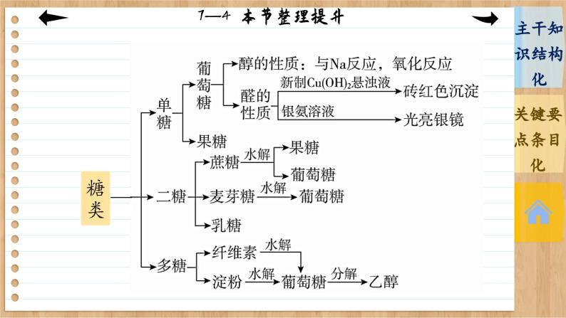 7.4 基本营养物质 整理提升（课件PPT）05